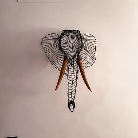 Lejlighed Casa Aloe Vera *