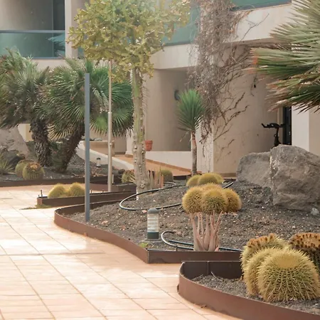 Casa Aloe Vera