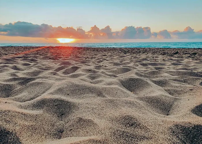 Casa Aloe Vera شقة