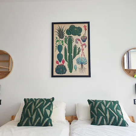 Casa Aloe Vera *