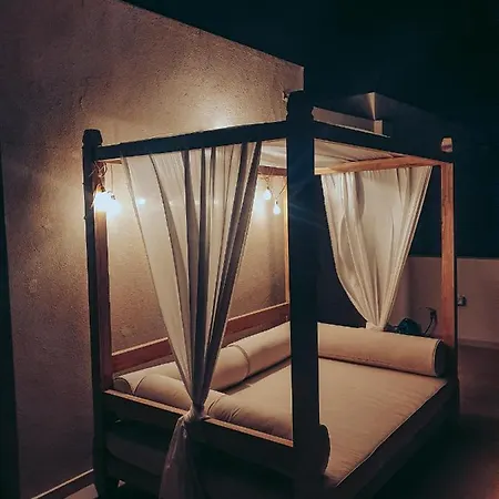 Casa Aloe Vera Cotillo